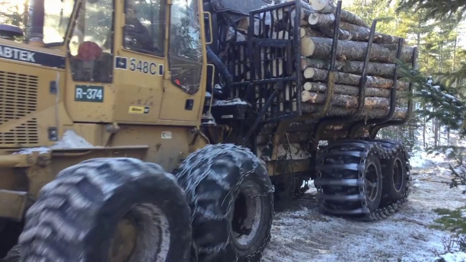 Cut To Length Operations - Madden Sustainable Forestry